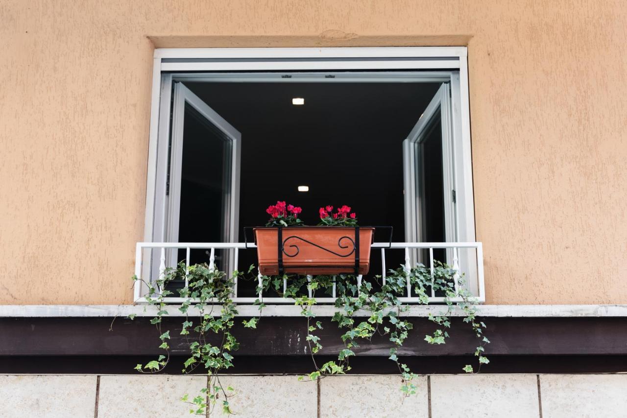 Ziani Vatican Boutique Рим Екстер'єр фото